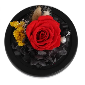 4 Farby Rose V Banková Sklenenou Kupolou Reálne Vzrástol Kráska A Zviera Konzervované Rose valentínske Darčeky Na Svadbu Vianočný darček