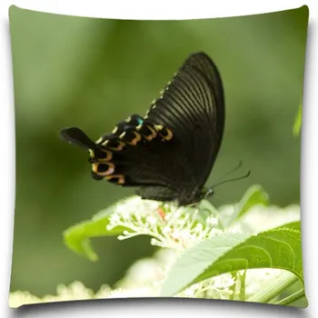 Bavlna polyester Domov Dekor Čierny Motýľ vzor Dekoračné obliečky na Vankúš Módne Vankúš Na Gauč auto domov