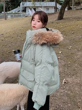 Bavlna čalúnená bunda nové dámske zimné bavlna čalúnená bunda kórejská verzia voľné iny pribrala krátke dole bavlna kabát pre stude