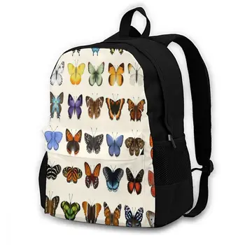 Butterflies Of North America Batoh 17330