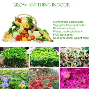 LED Rásť Svetelný Panel Plné Spektrum UV IR 100W Rastlín Rastúcich Žiarovky, Hliníkový Izbové Rastliny Hydroponické Skleníkových Zeleniny a kvetov
