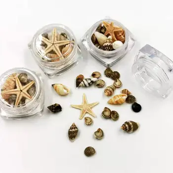 Malé Prírodné Pláže Seashell Hviezdice Námorných Dekor Nail Art Šperky Robiť 6066