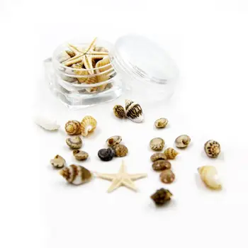 Malé Prírodné Pláže Seashell Hviezdice Námorných Dekor Nail Art Šperky Robiť
