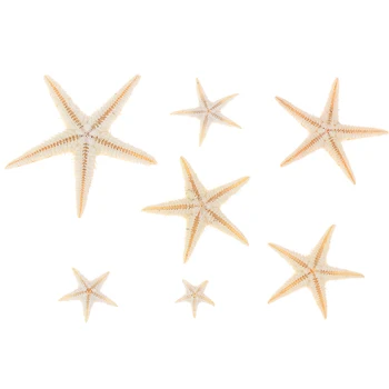 Morské Mušle Veľkosť:0.5-3 cm 100ks Mini Hviezdice Plavidlá, Dekorácie Prírodnej Morskej Hviezdy DIY Pláži Chata Svadobné Dekor Remesiel Svadbu