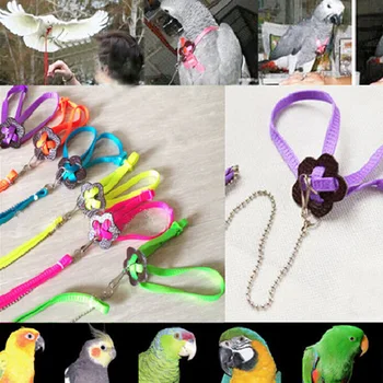 Móda Papagáj Vták Postroj & Vodítku Nastaviteľné Multicolor Svetlo Mäkkú Handričku