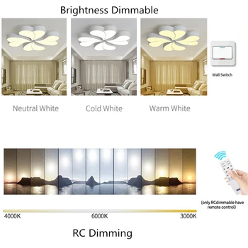 Nový dizajn, LED Stropné svietidlo Pre Obývacia izba, Jedáleň, Spálňa luminarias para teto Led Svetlá Pre Domáce osvetlenie, moderné zariadenie, 21571