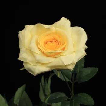 Údolie Sviatok Umelé Ruže 10 Vedúci Pastoračnej Štýl Uhol Rose Domov Hotel Dekorácie Umelý Kvet Multi-Vidlica Ručné Rose